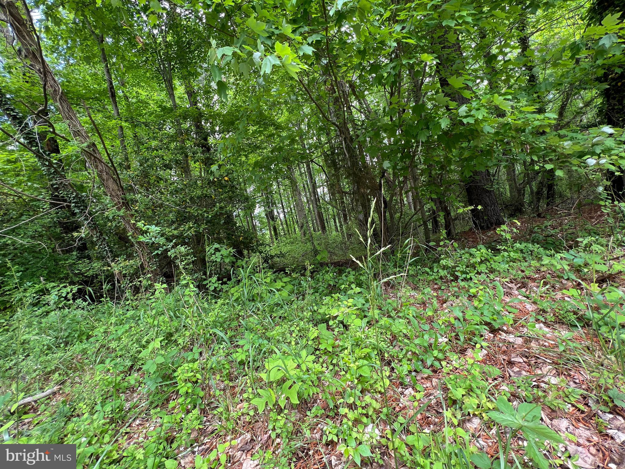 892 Crystal Rock Road Lusby, MD 20657 - Photo 2 of 3 Easy in and out in the neighborhood