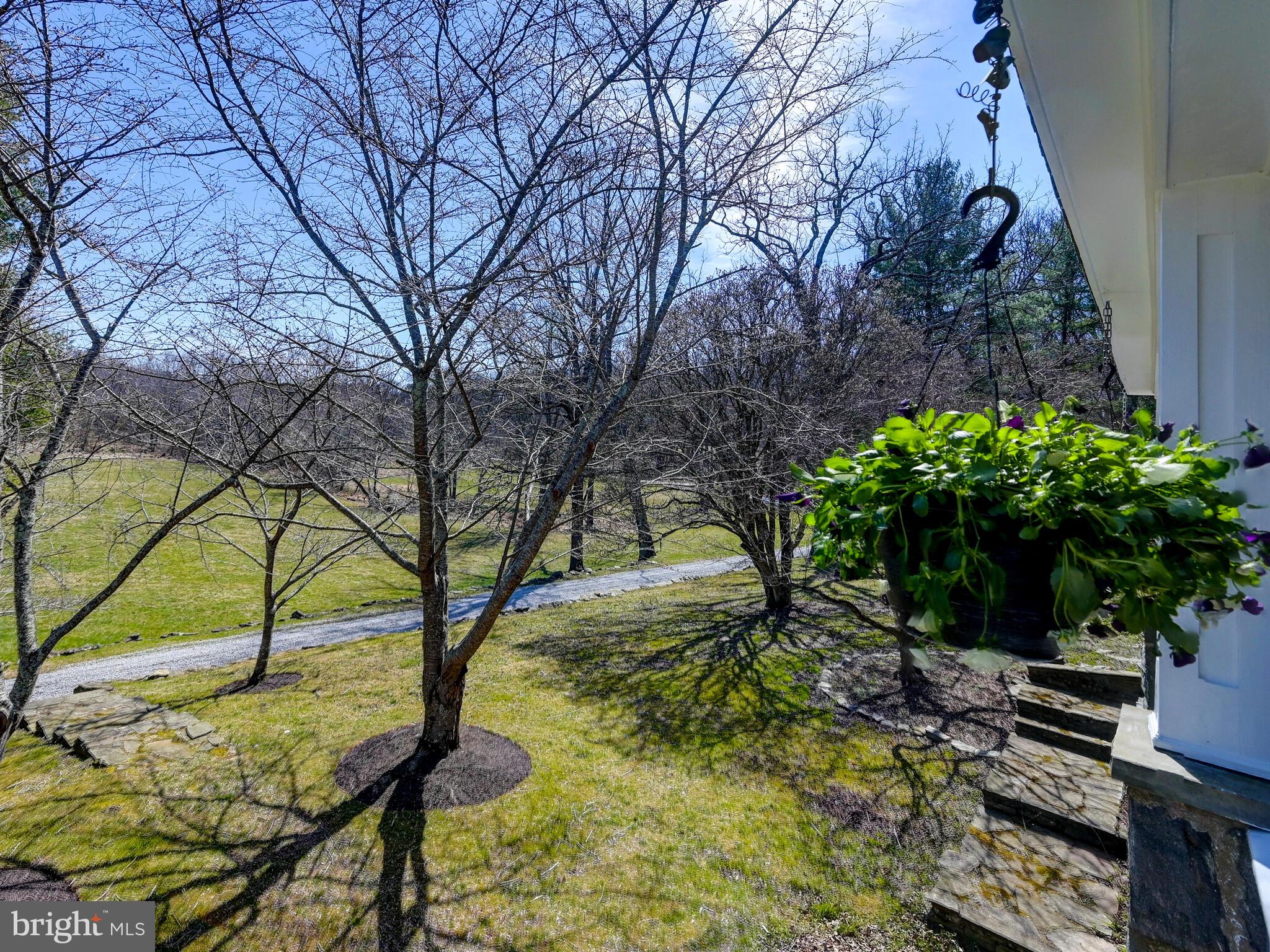 1901 Brighton Dam Road Brookeville, MD 20833 - Photo 52 of 92 Bucolic views from the covered porch