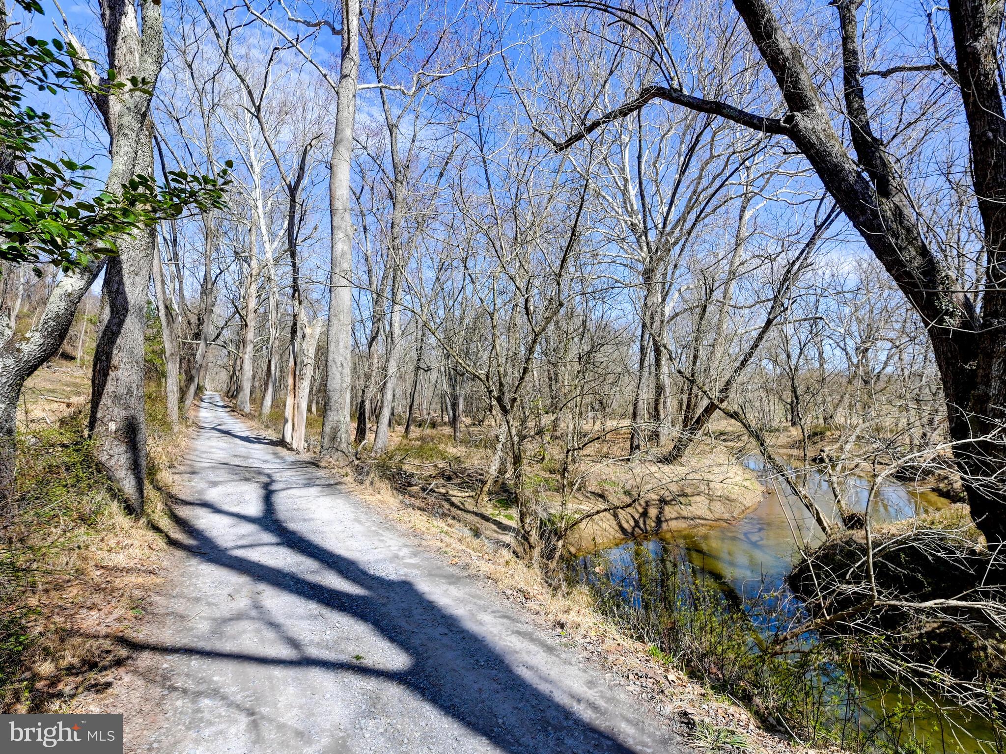 1901 Brighton Dam Road Brookeville, MD 20833 - Photo 74 of 92 The property includes an awesome pond