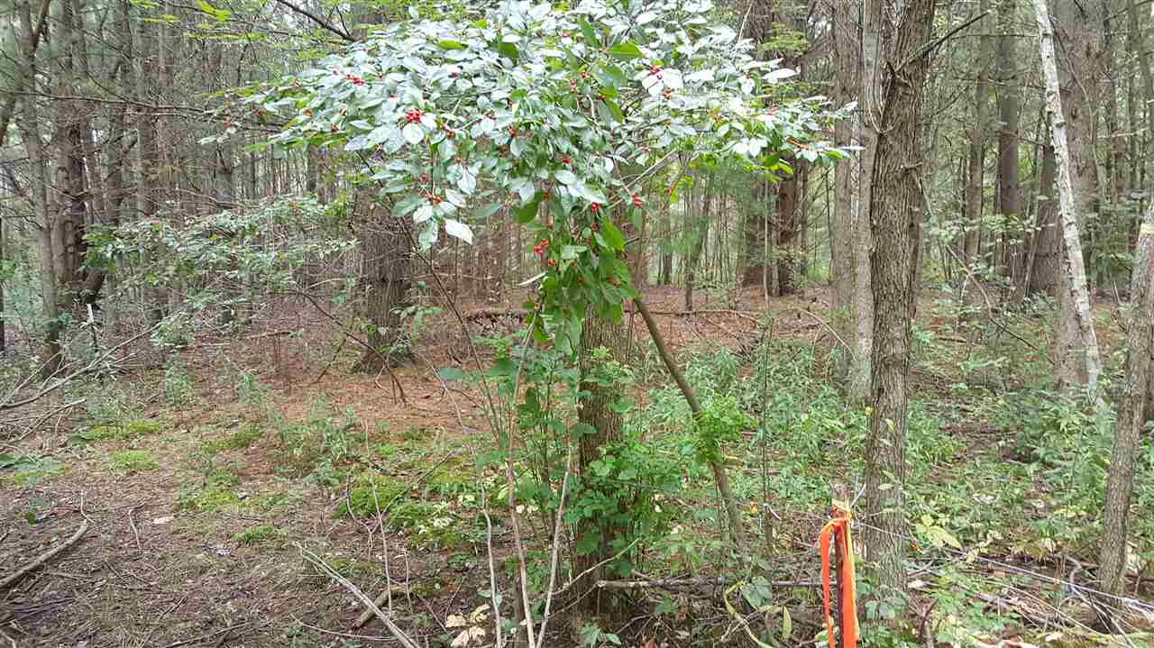0 North 8 Mile Road, Unit 0N EIGHT MILE ROAD Pinconning, MI 48650 - Photo 2 of 3