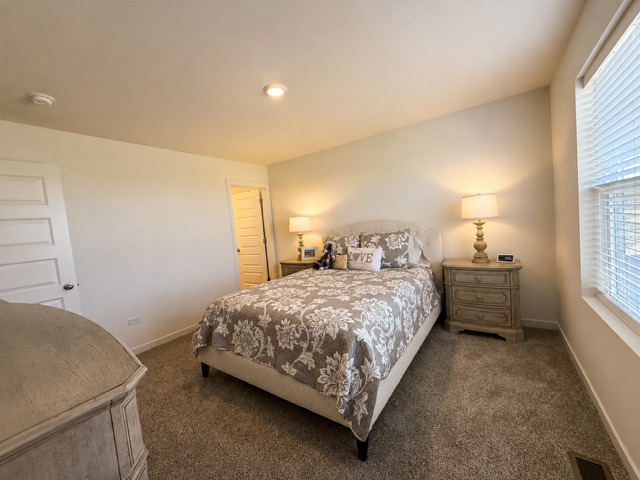 2255 Riesling Road Oswego, IL 60543 - Photo 17 of 21