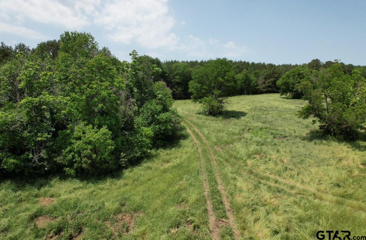 Tbd-c Cr 4653 Tenaha Tx 75974 Timpson, TX 75975 - Photo 2 of 12 a view of a garden