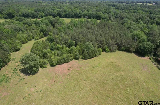 a view of a field with a tree