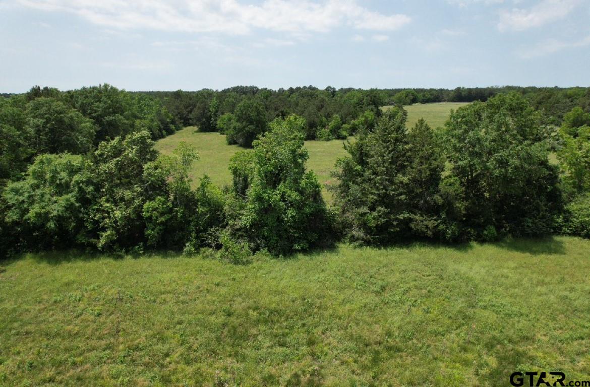 Tbd-c Cr 4653 Tenaha Tx 75974 Timpson, TX 75975 - Photo 9 of 12 a view of a garden