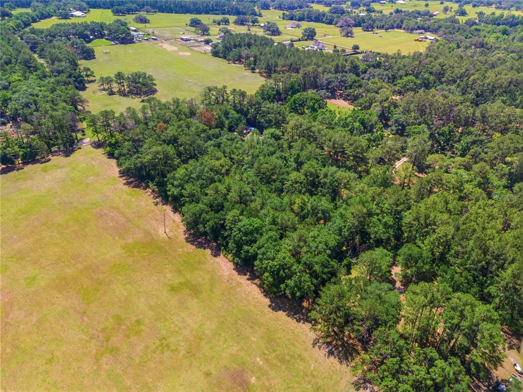 1074 Culbreath Road Brooksville, FL 34602 - Photo 6 of 20 an aerial view of residential houses with outdoor space and trees all around
