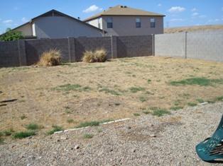 11506 West Bloomfield Road El Mirage, AZ 85335 - Photo 2 of 2 Back