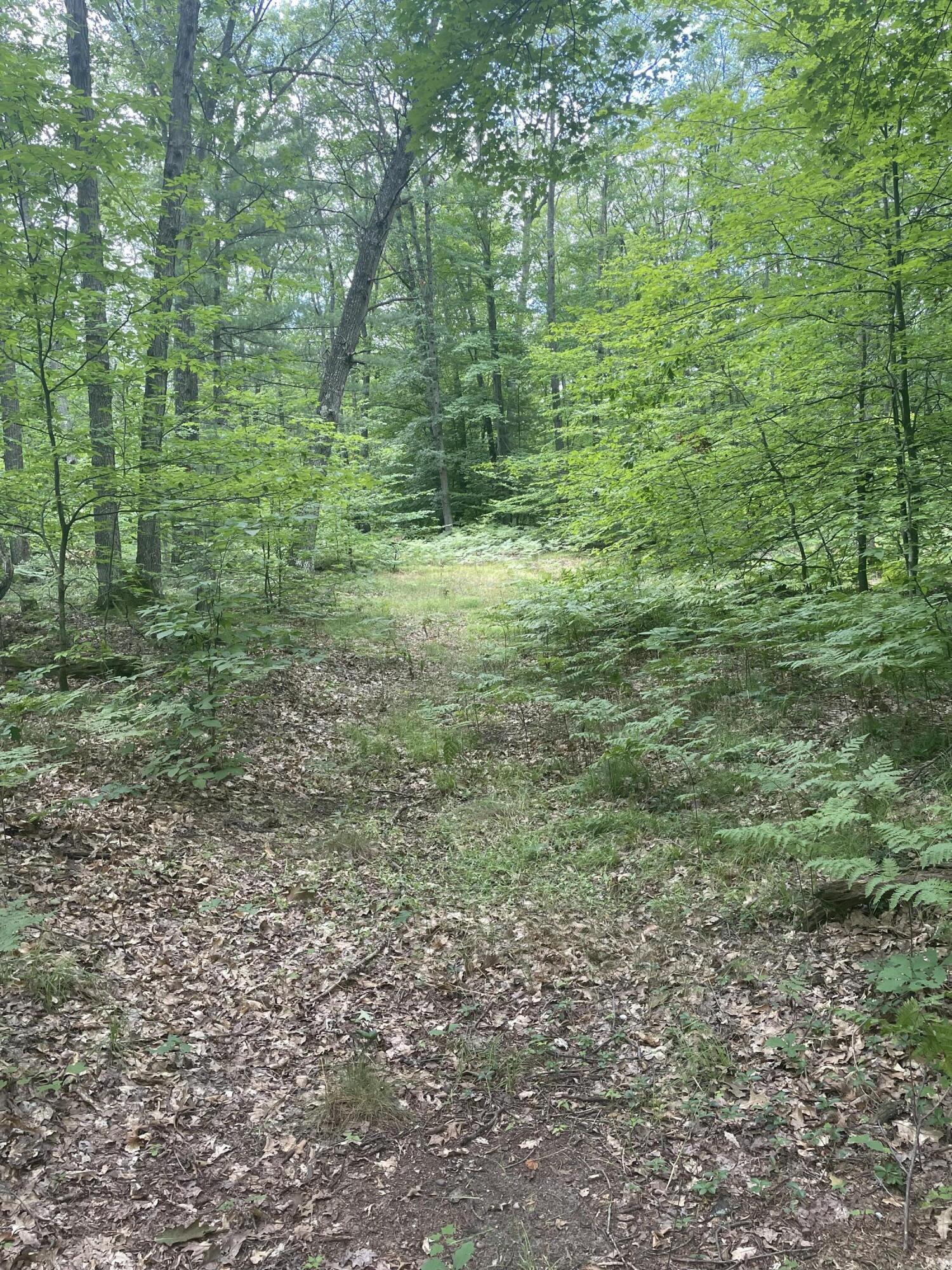 9732 East Grandview Trail Reed City, MI 49677 - Photo 11 of 19 IMG_5986