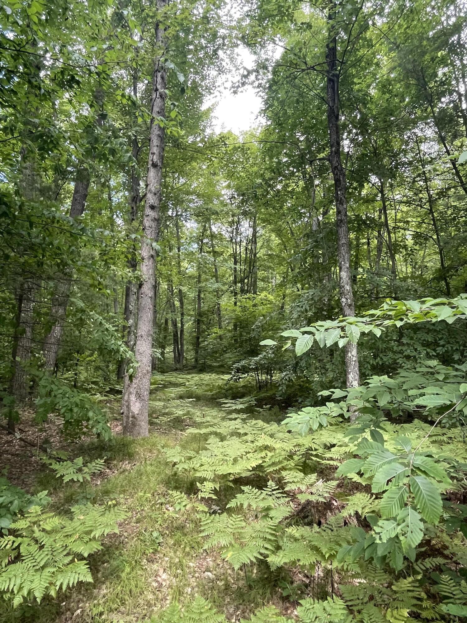 9732 East Grandview Trail Reed City, MI 49677 - Photo 13 of 19 IMG_5989