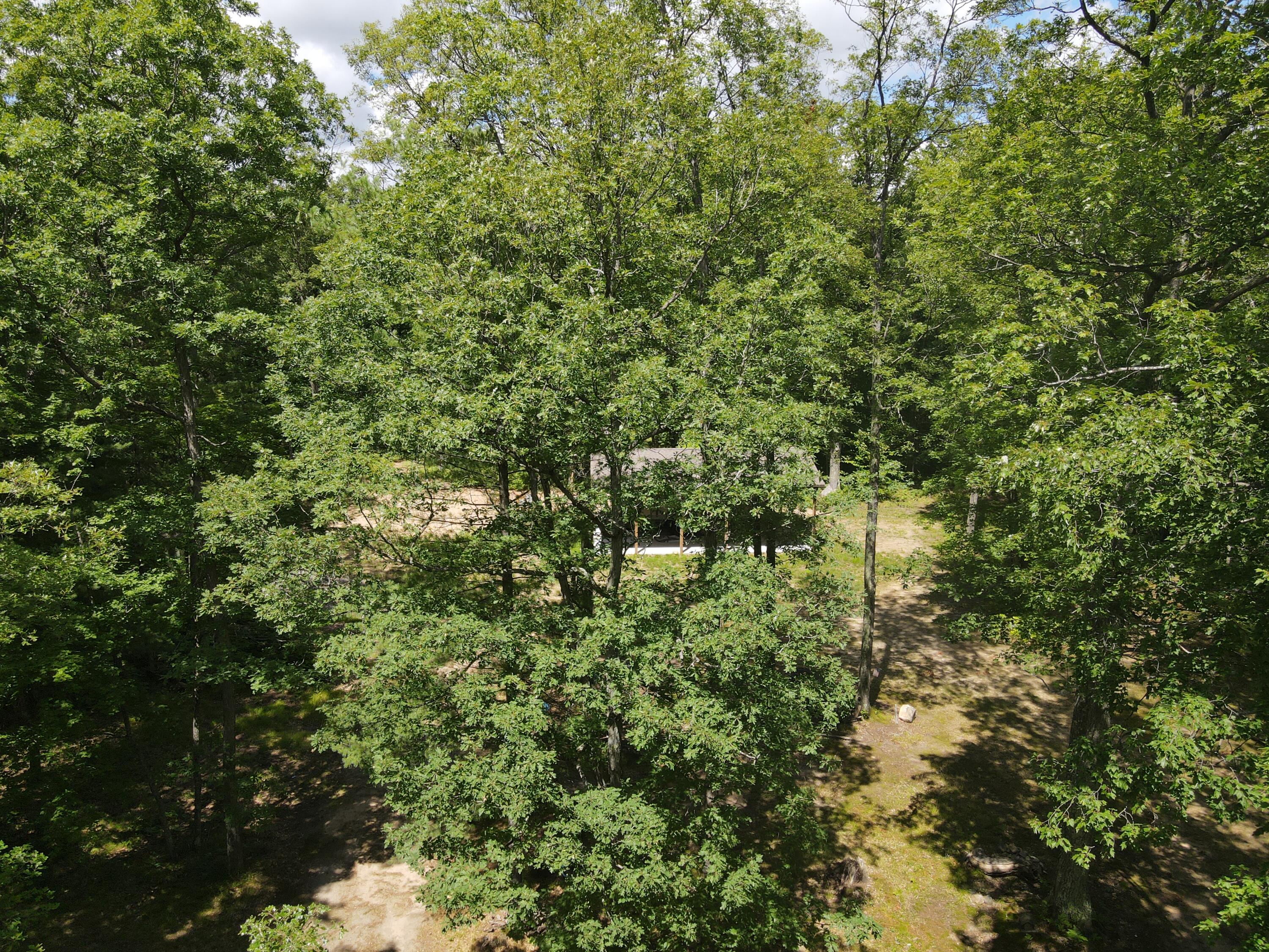 9732 East Grandview Trail Reed City, MI 49677 - Photo 16 of 19 Photo_1080361189_DJI_229_jpg_9891230_0_2