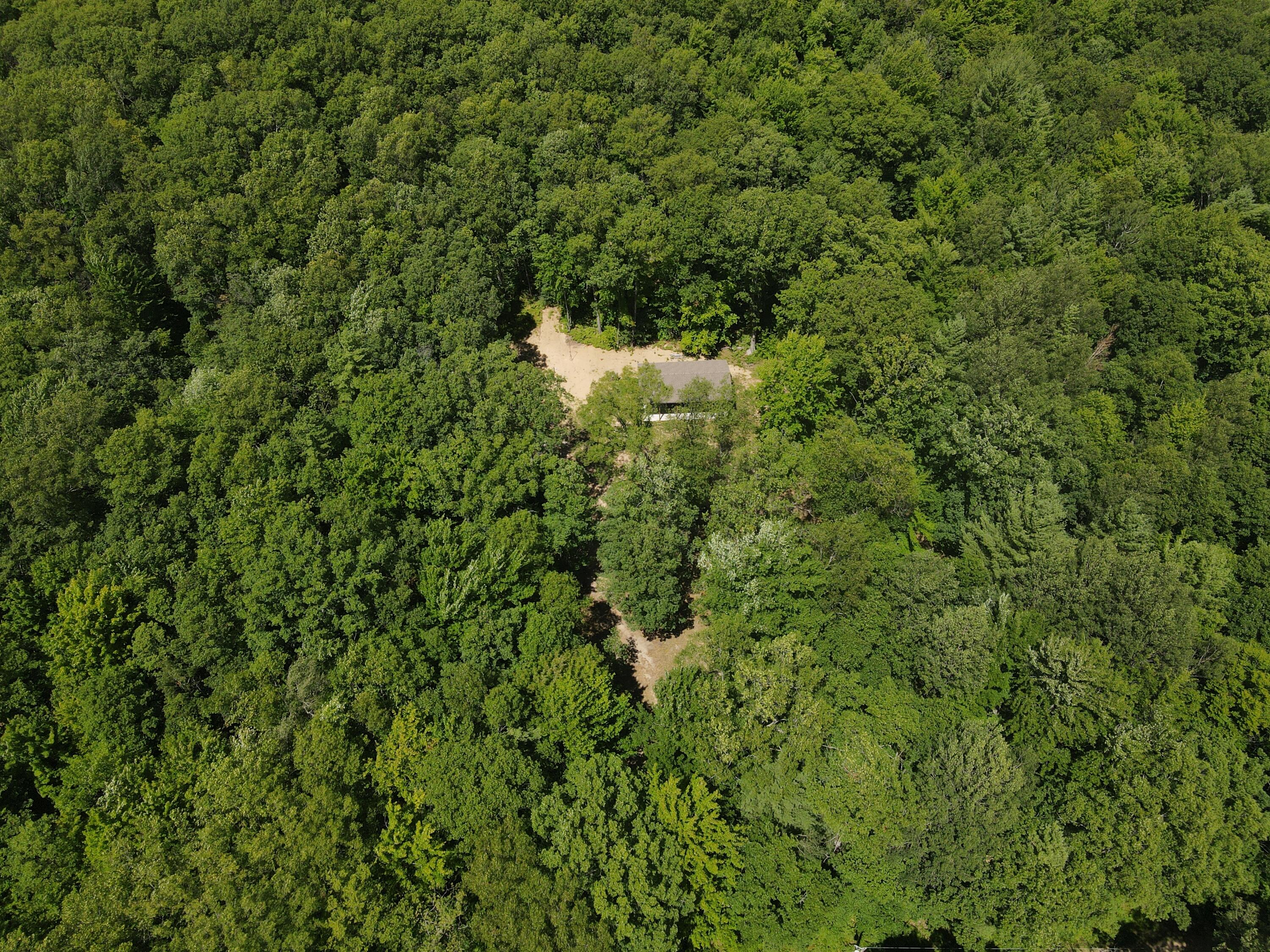9732 East Grandview Trail Reed City, MI 49677 - Photo 4 of 19 Photo_1080361192_DJI_232_jpg_9883344_0_2