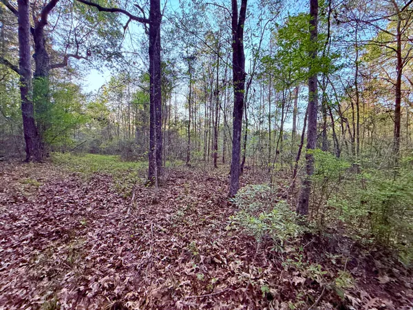 $190,000 | 430 Weenee Road, Jamestown, SC 29453