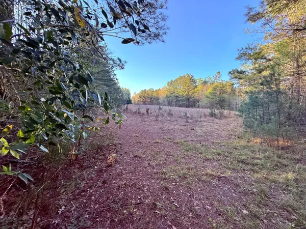 $190,000 | 430 Weenee Road, Jamestown, SC 29453