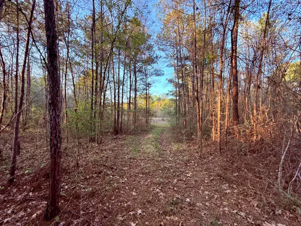 $190,000 | 430 Weenee Road, Jamestown, SC 29453
