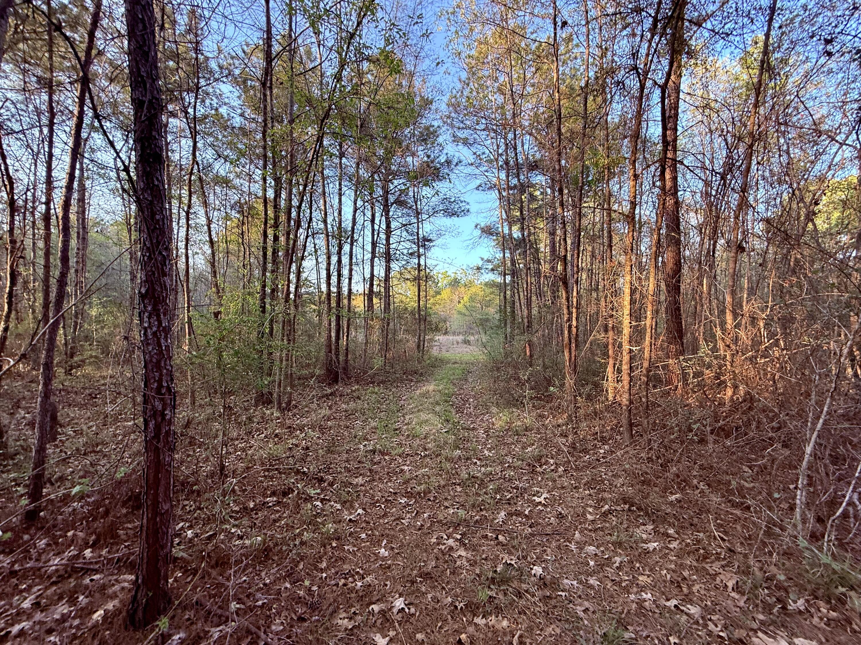 430 Weenee Road Jamestown, SC 29453 - Photo 14 of 18 IMG_9422