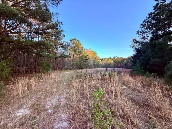 $190,000 | 430 Weenee Road, Jamestown, SC 29453