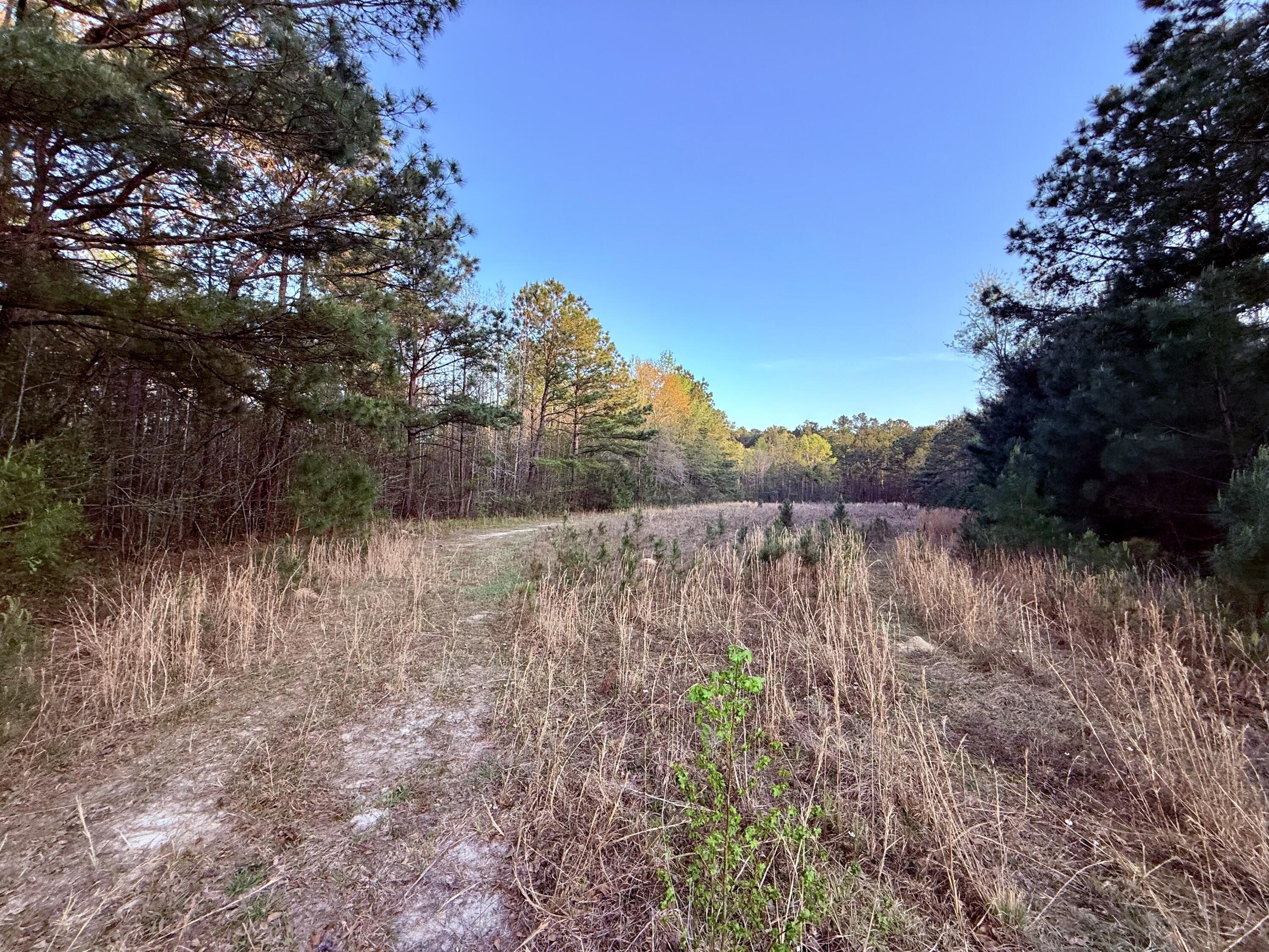 430 Weenee Road Jamestown, SC 29453 - Photo 16 of 18 IMG_9457