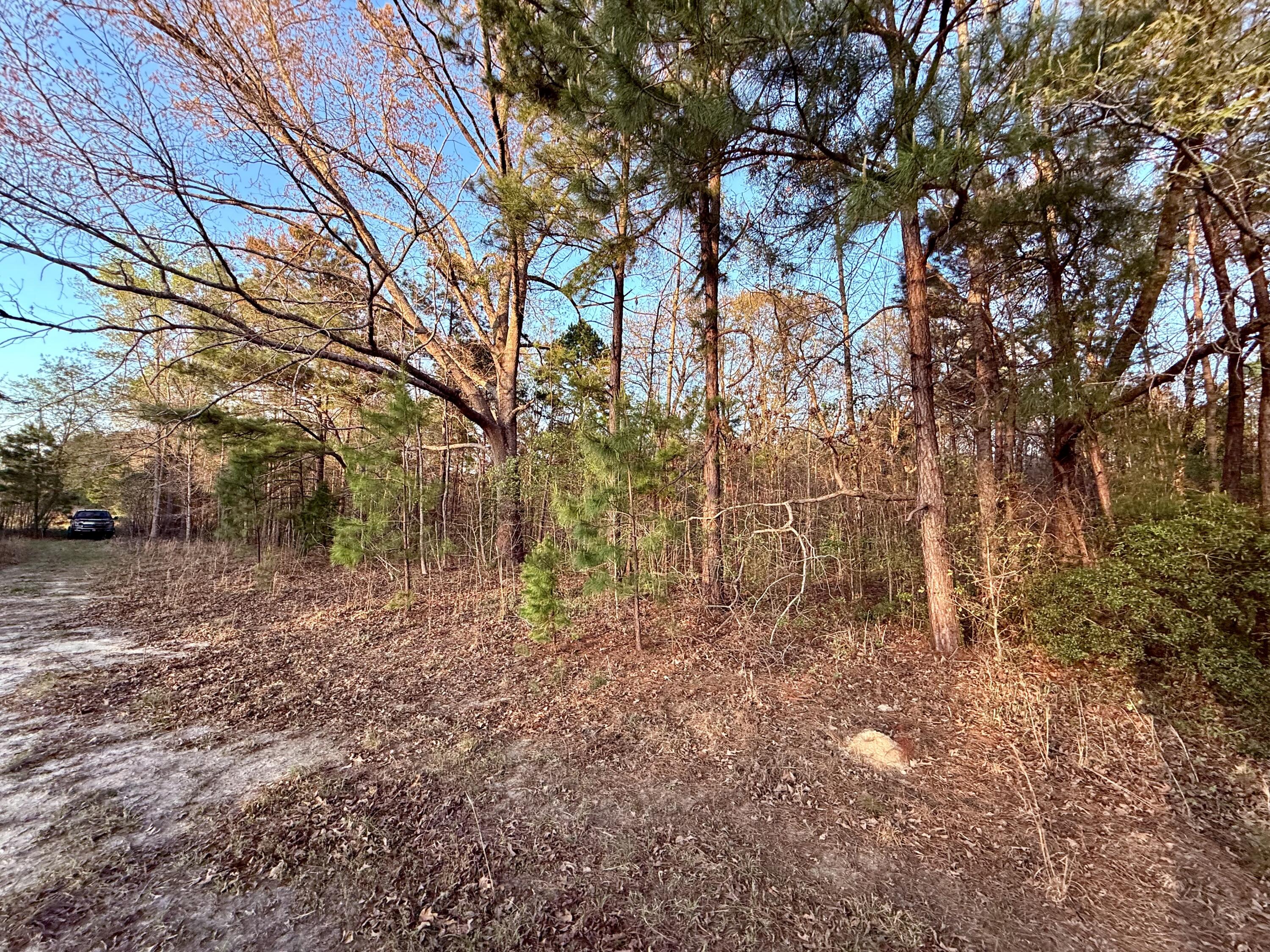 430 Weenee Road Jamestown, SC 29453 - Photo 17 of 18 IMG_9468