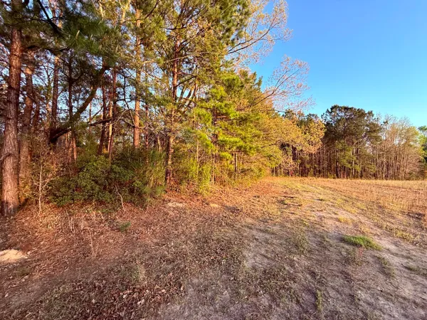 $190,000 | 430 Weenee Road, Jamestown, SC 29453