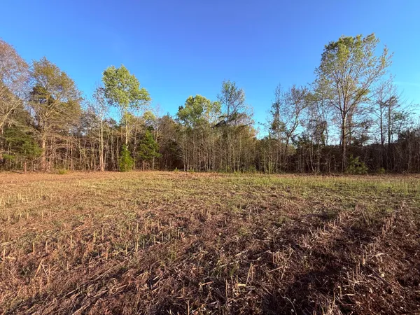 $190,000 | 430 Weenee Road, Jamestown, SC 29453