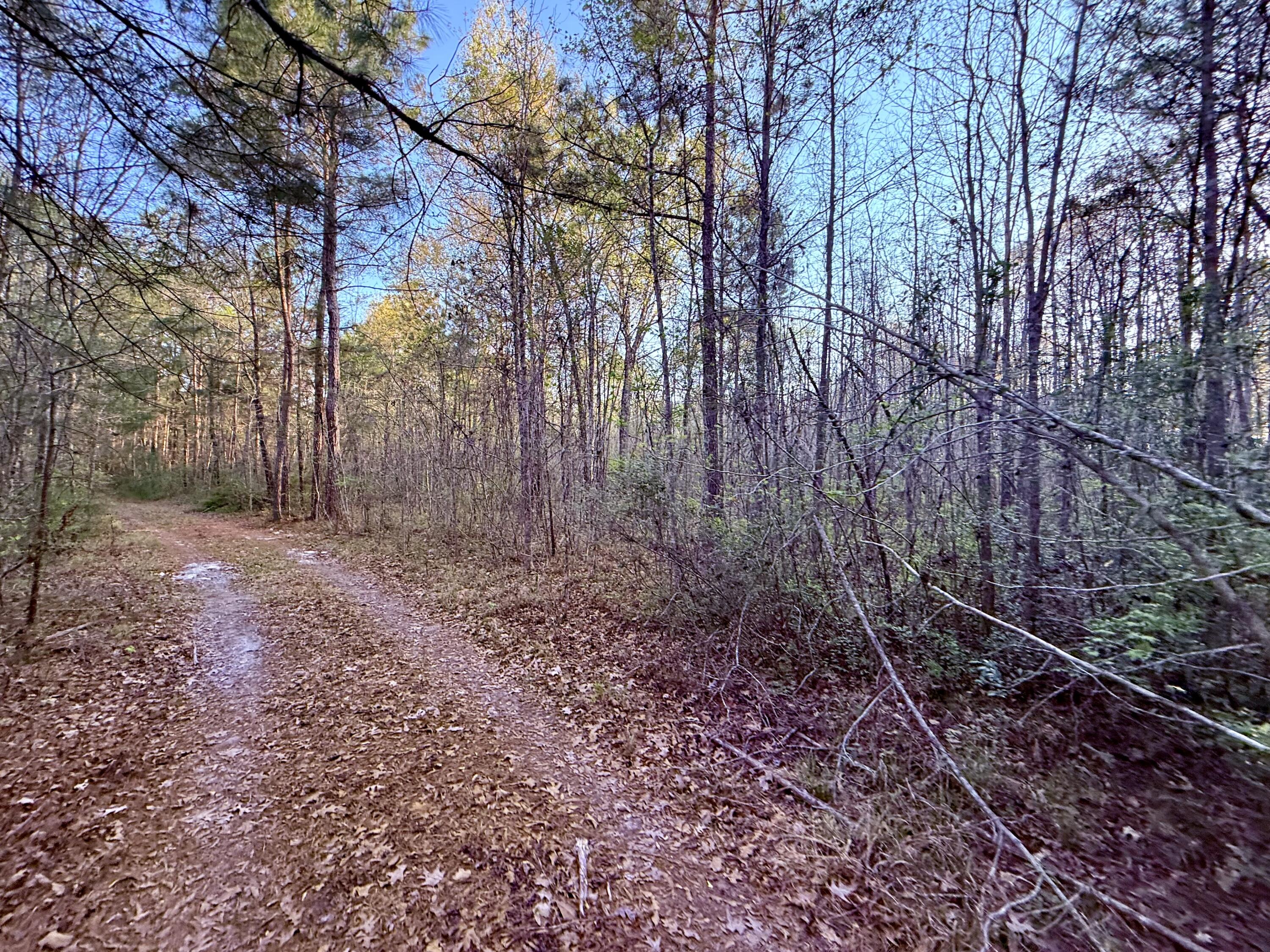 430 Weenee Road Jamestown, SC 29453 - Photo 3 of 18 IMG_9304