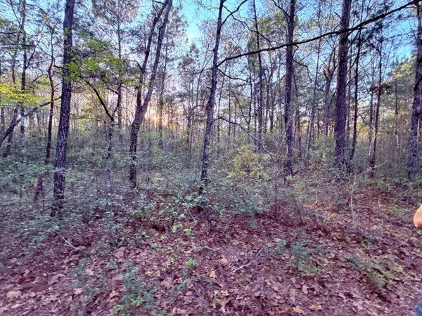 $190,000 | 430 Weenee Road, Jamestown, SC 29453