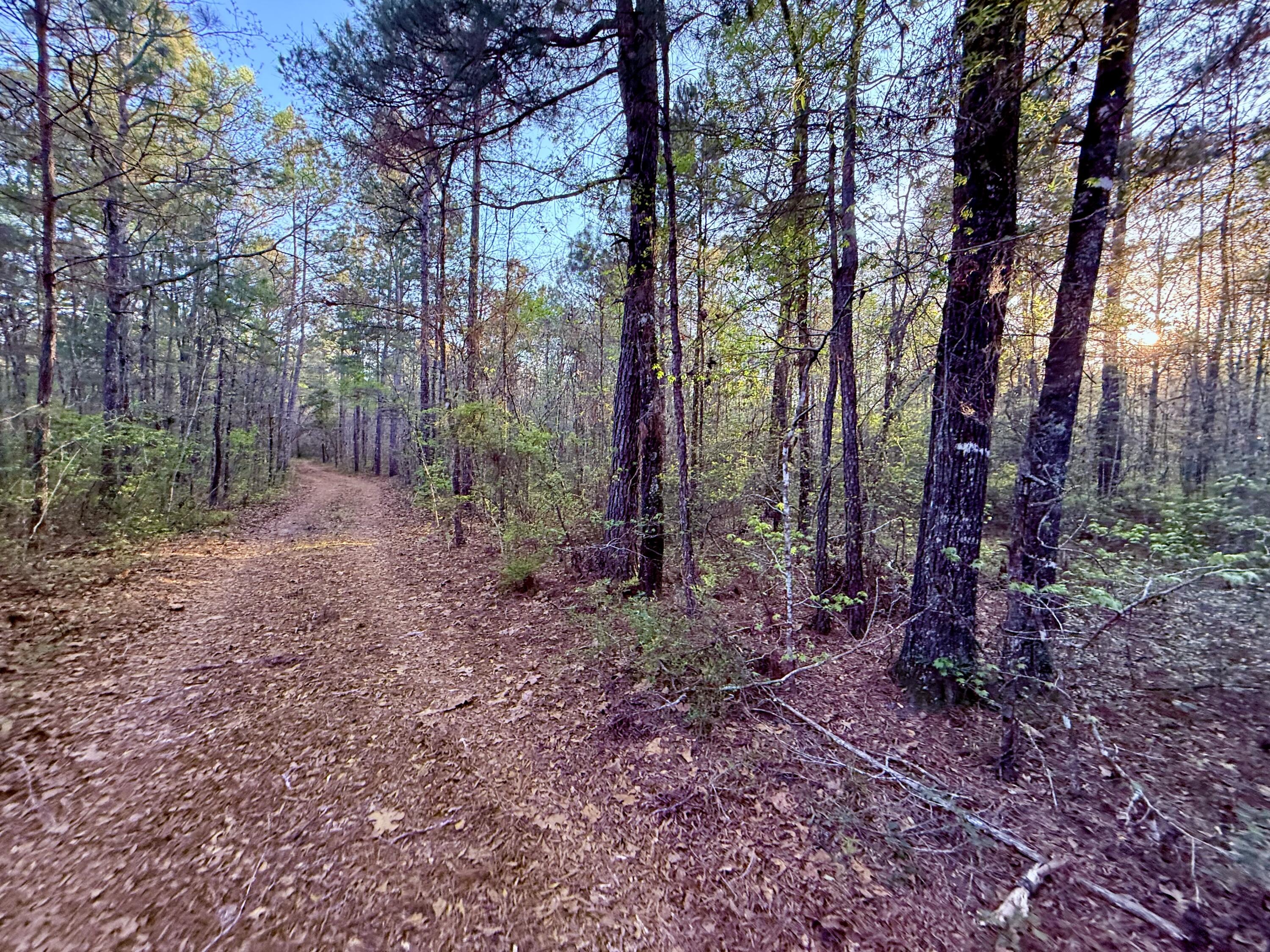 430 Weenee Road Jamestown, SC 29453 - Photo 6 of 18 IMG_9350