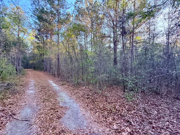 $190,000 | 430 Weenee Road, Jamestown, SC 29453