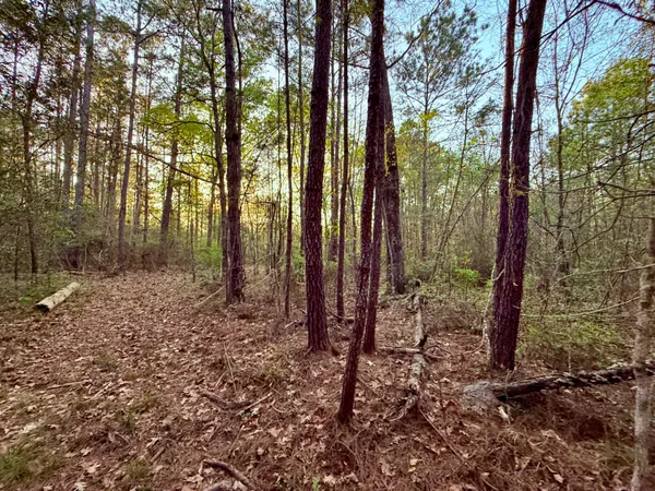 $190,000 | 430 Weenee Road, Jamestown, SC 29453