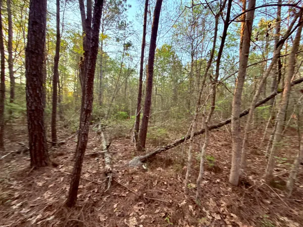 $190,000 | 430 Weenee Road, Jamestown, SC 29453