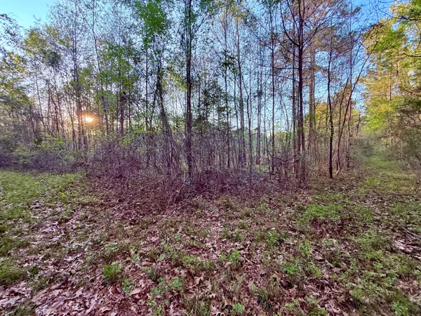 $190,000 | 430 Weenee Road, Jamestown, SC 29453