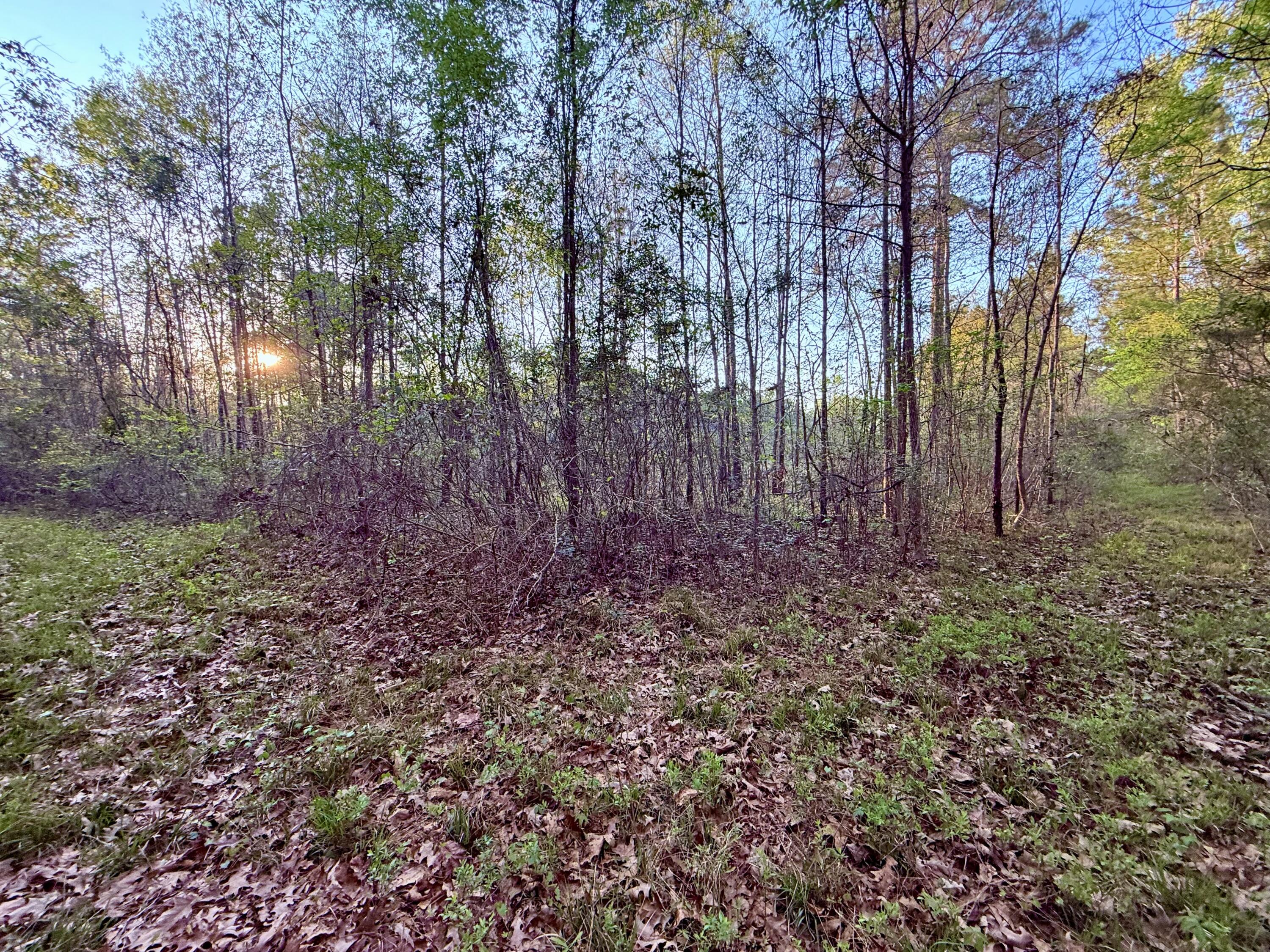 430 Weenee Road Jamestown, SC 29453 - Photo 10 of 18 IMG_9406