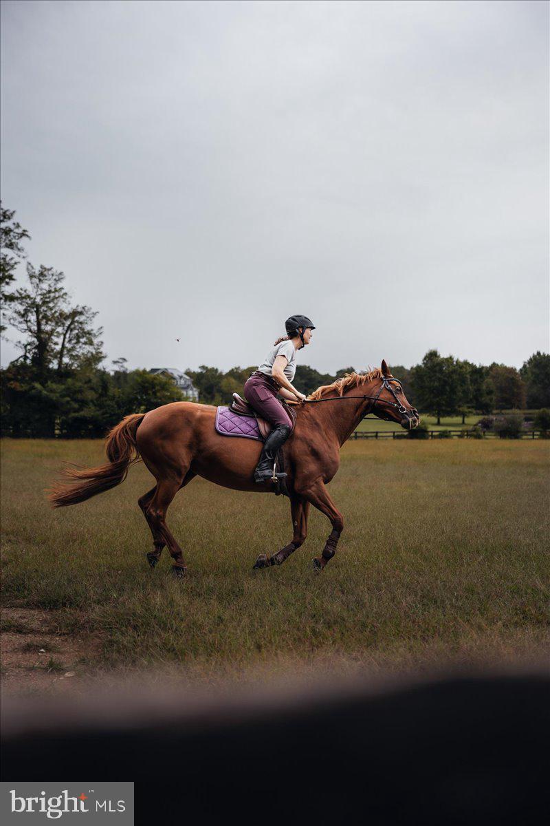 19606 Ridgeside Road Bluemont, VA 20135 - Photo 13 of 81