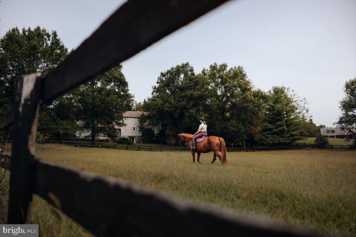19606 Ridgeside Road Bluemont, VA 20135 - Photo 15 of 81