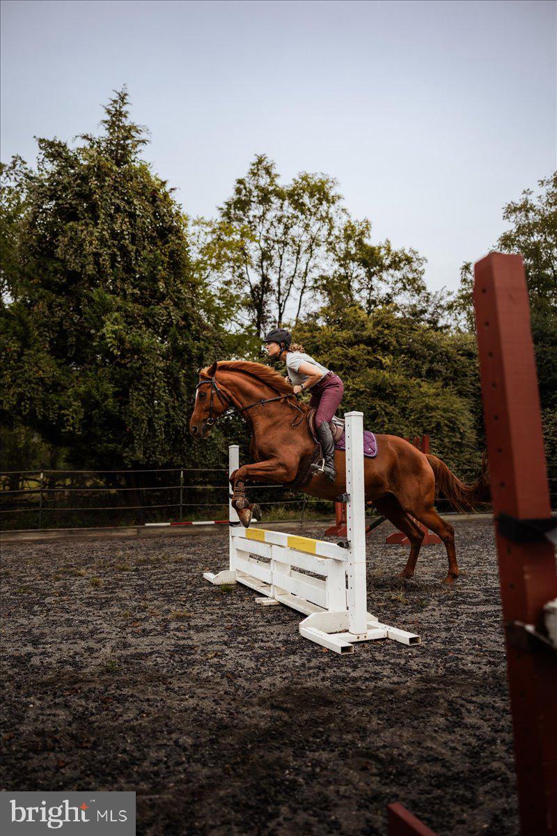 19606 Ridgeside Road Bluemont, VA 20135 - Photo 16 of 81 a backyard of a house with table and chairs