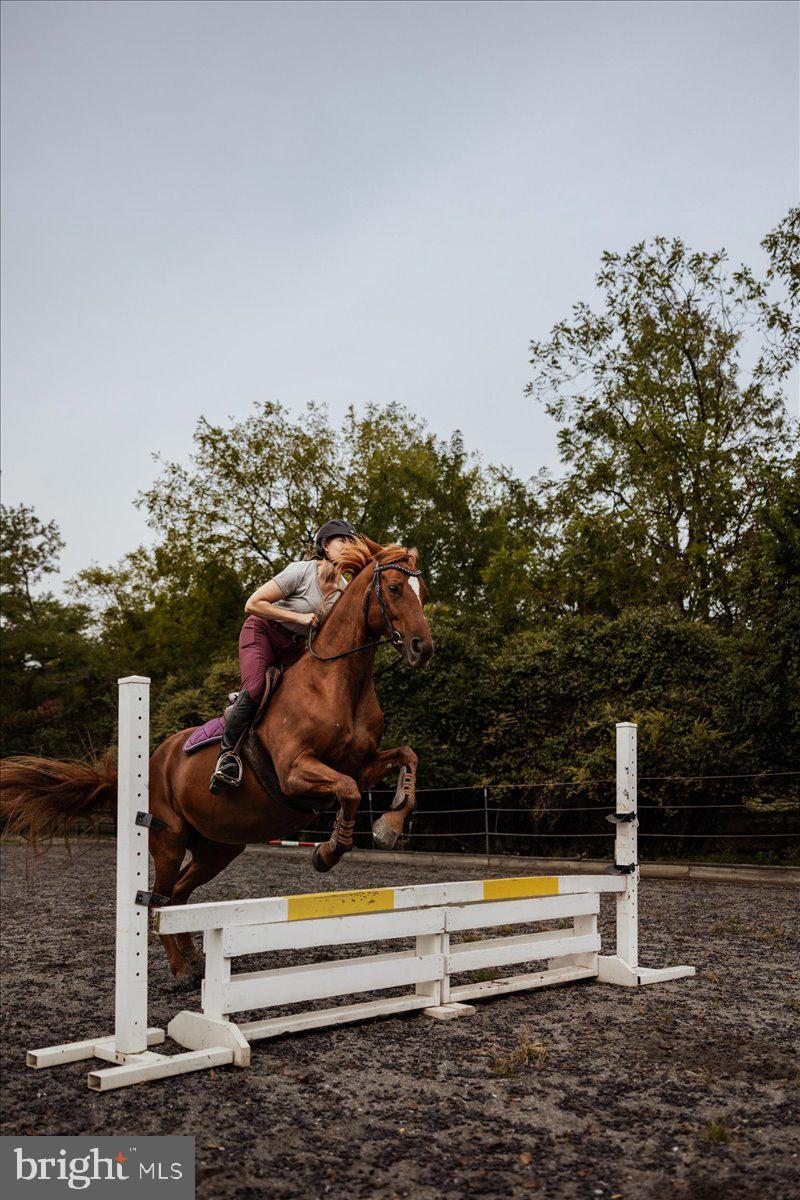 19606 Ridgeside Road Bluemont, VA 20135 - Photo 18 of 81