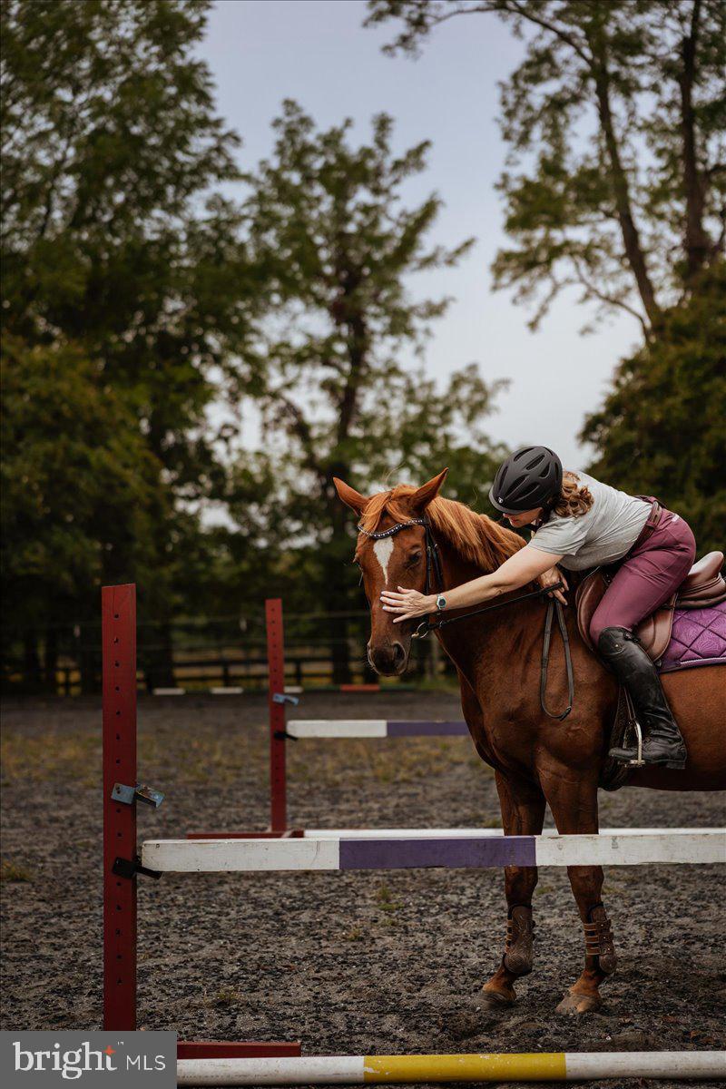 19606 Ridgeside Road Bluemont, VA 20135 - Photo 2 of 81