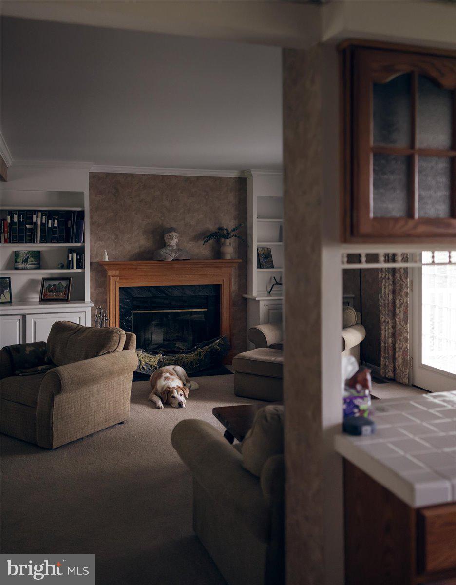 19606 Ridgeside Road Bluemont, VA 20135 - Photo 26 of 81