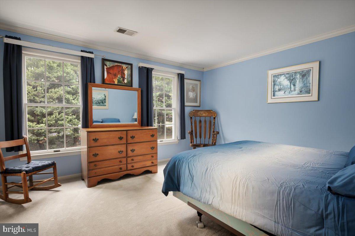 19606 Ridgeside Road Bluemont, VA 20135 - Photo 38 of 74 Guest Bedroom