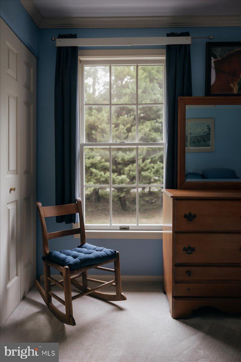19606 Ridgeside Road Bluemont, VA 20135 - Photo 41 of 81 a living room with furniture a flat screen tv and a window
