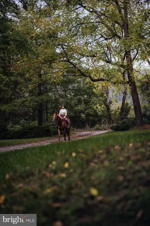 $1,625,000 | 19606 Ridgeside Road, Bluemont, VA 20135