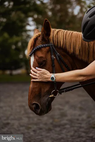 $1,625,000 | 19606 Ridgeside Road, Bluemont, VA 20135