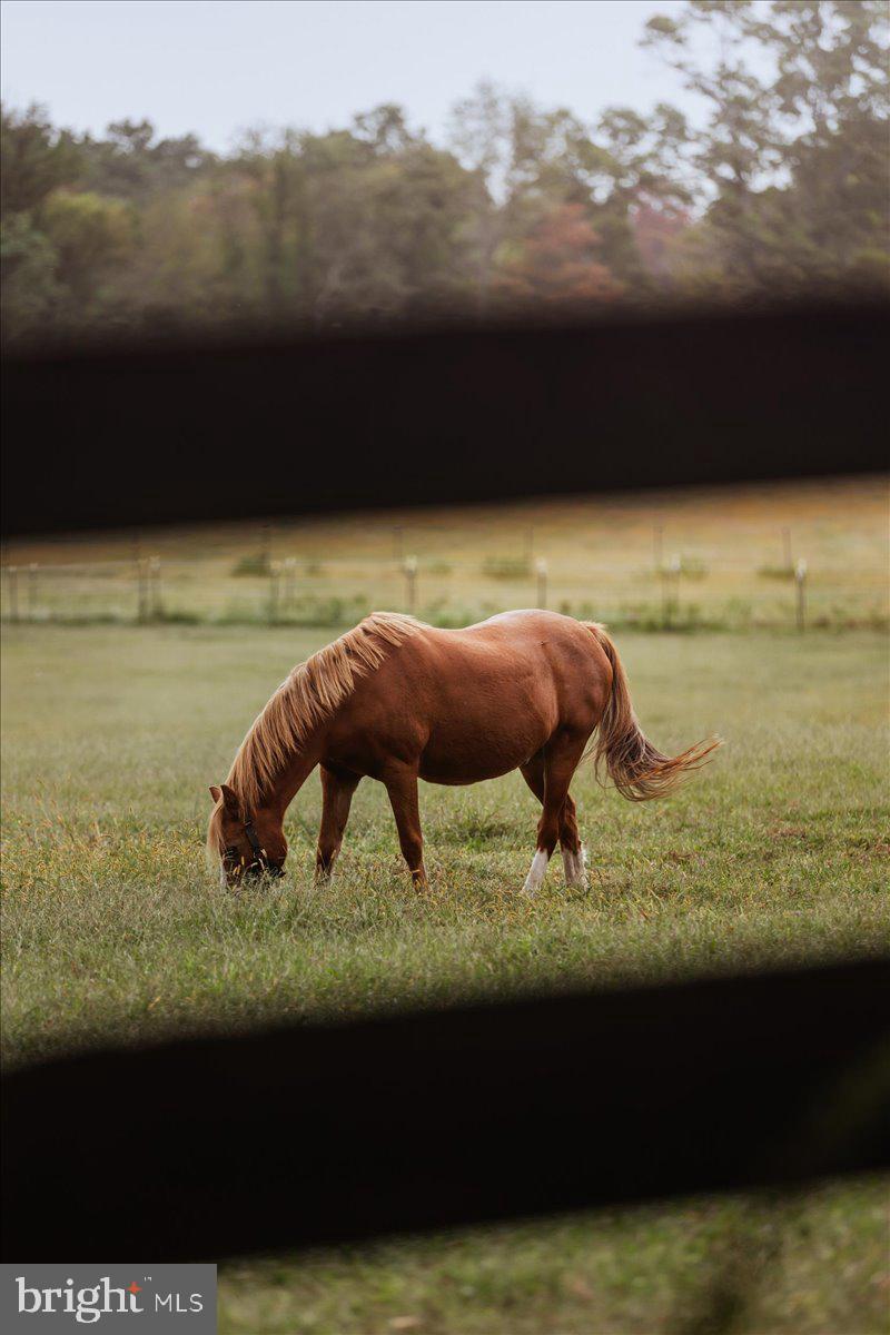19606 Ridgeside Road Bluemont, VA 20135 - Photo 74 of 81