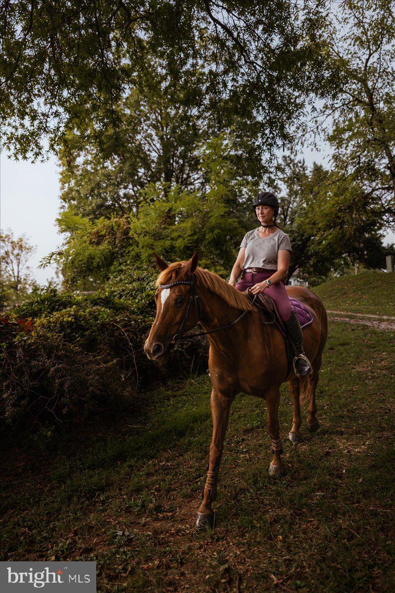 19606 Ridgeside Road Bluemont, VA 20135 - Photo 76 of 81