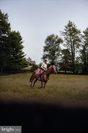 $1,625,000 | 19606 Ridgeside Road, Bluemont, VA 20135