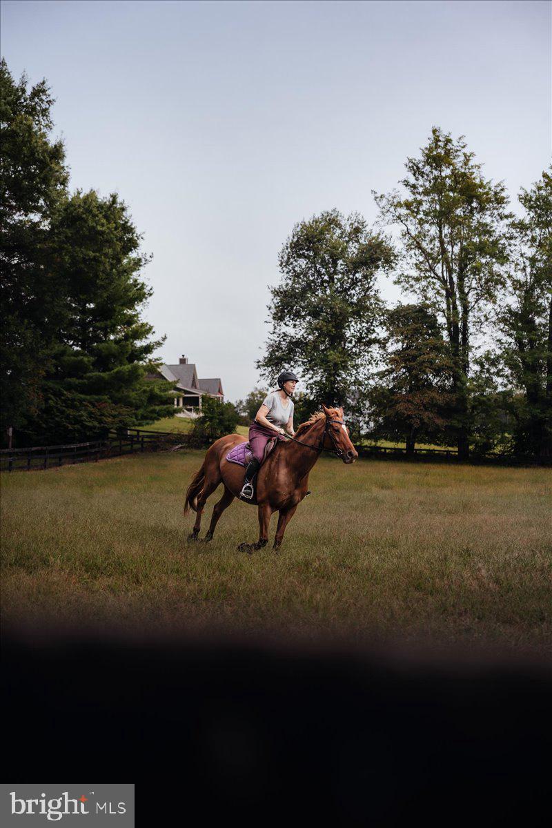 19606 Ridgeside Road Bluemont, VA 20135 - Photo 77 of 81