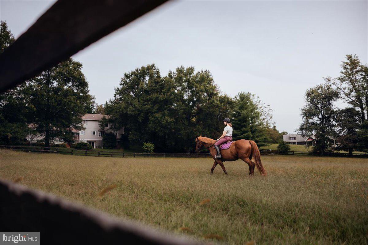 19606 Ridgeside Road Bluemont, VA 20135 - Photo 78 of 81 a backyard of a house with seating space