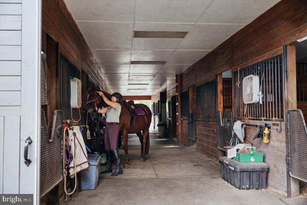 19606 Ridgeside Road Bluemont, VA 20135 - Photo 9 of 81