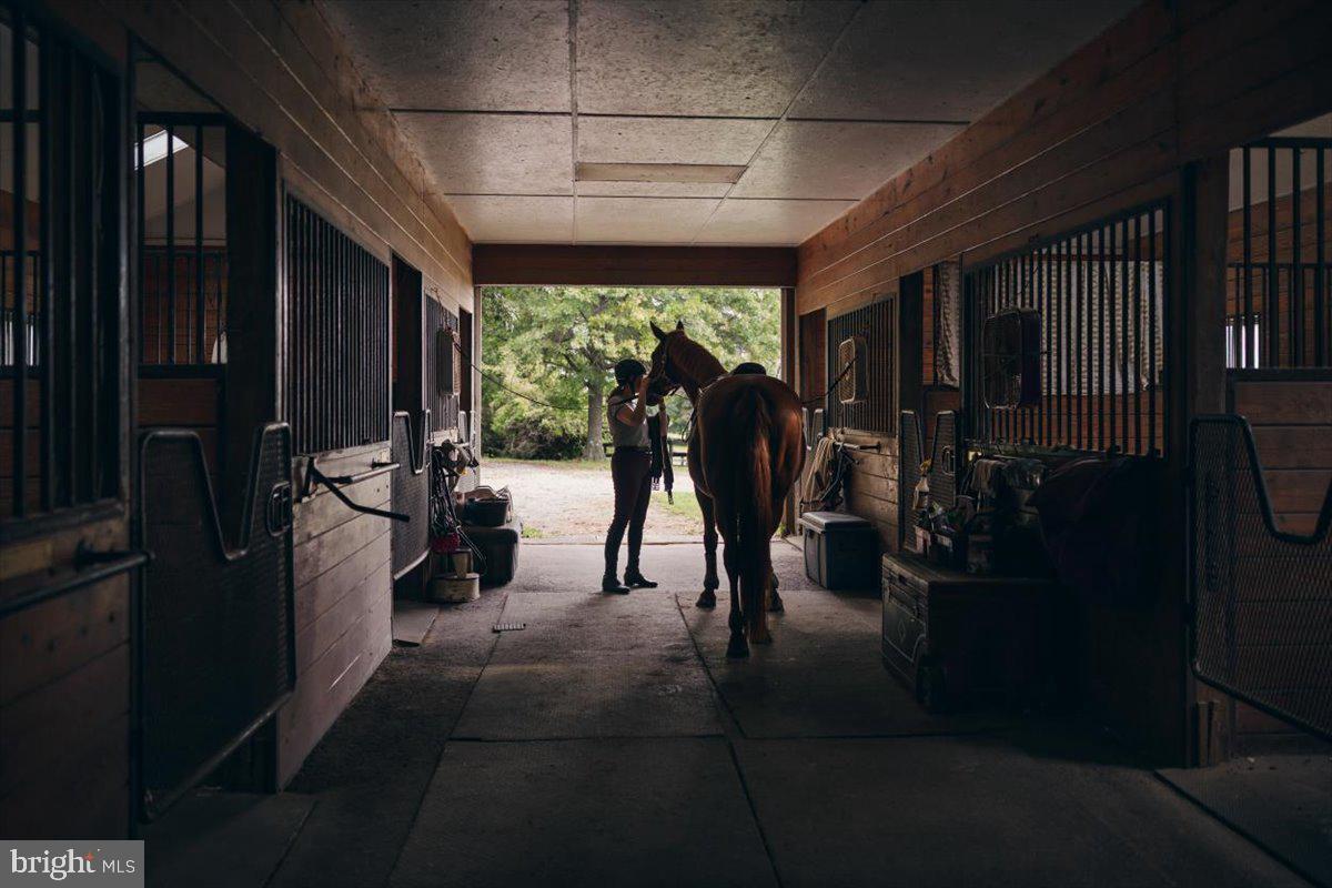 19606 Ridgeside Road Bluemont, VA 20135 - Photo 10 of 81