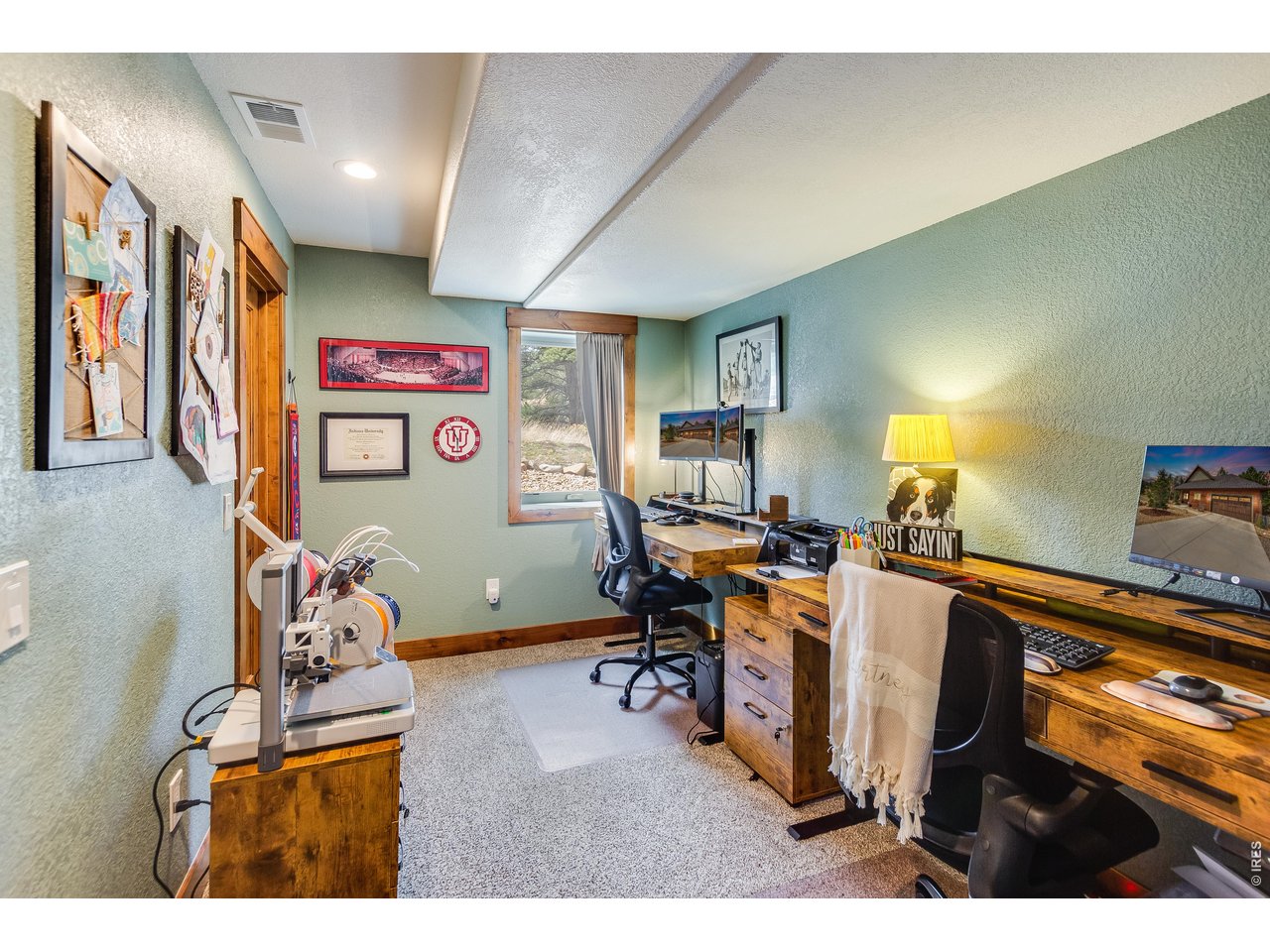 2209 Fish Creek Road Estes Park, CO 80517 - Photo 38 of 50 Functional home office or bedroom with natural light and ample storage.