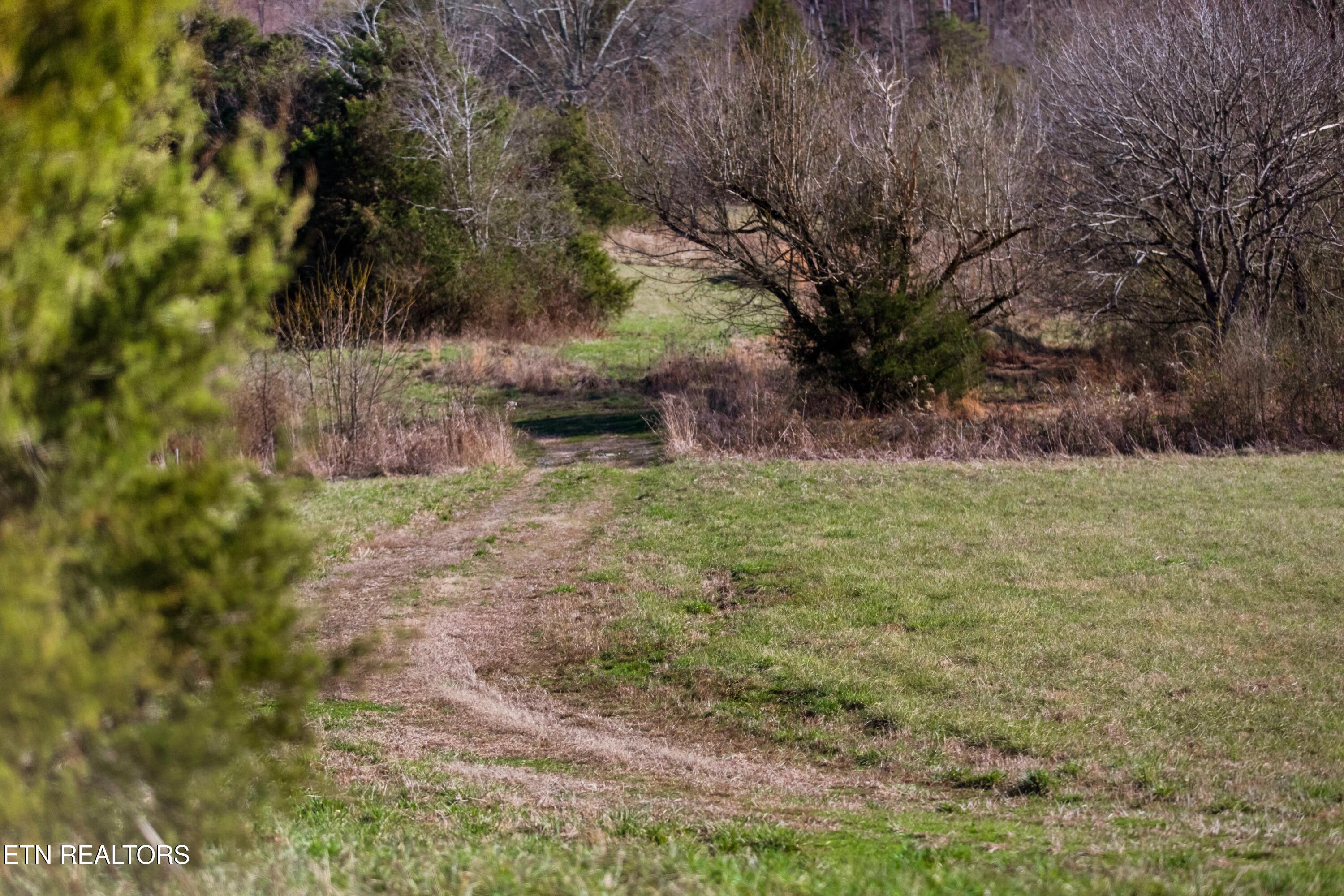 1311 Paint Rock Valley Road Philadelphia, TN 37846 - Photo 11 of 42 030A7759